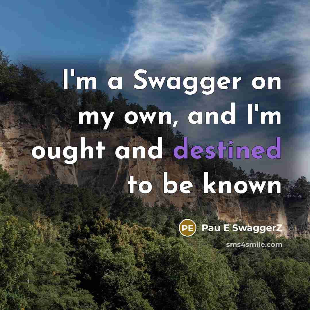“I'm a Swagger on my own, and I'm ought and…” quote by Pau E SwaggerZ