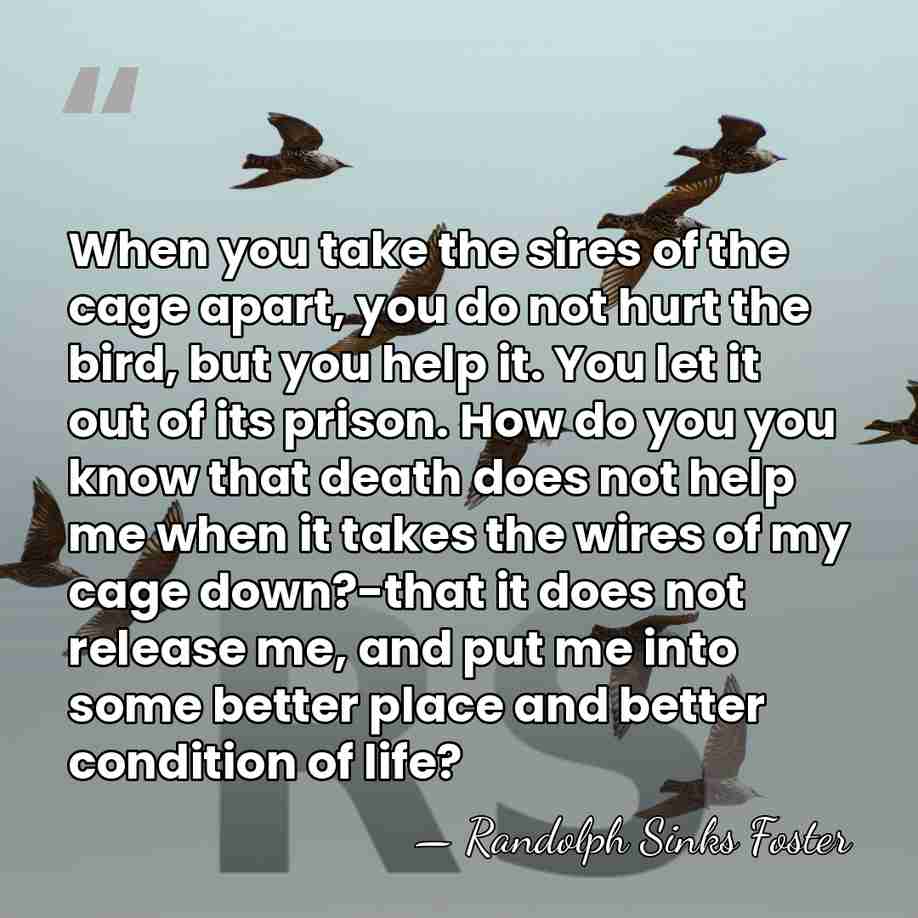 When you take the sires of the cage apart, you do not&hellip; - Randolph Sinks Foster