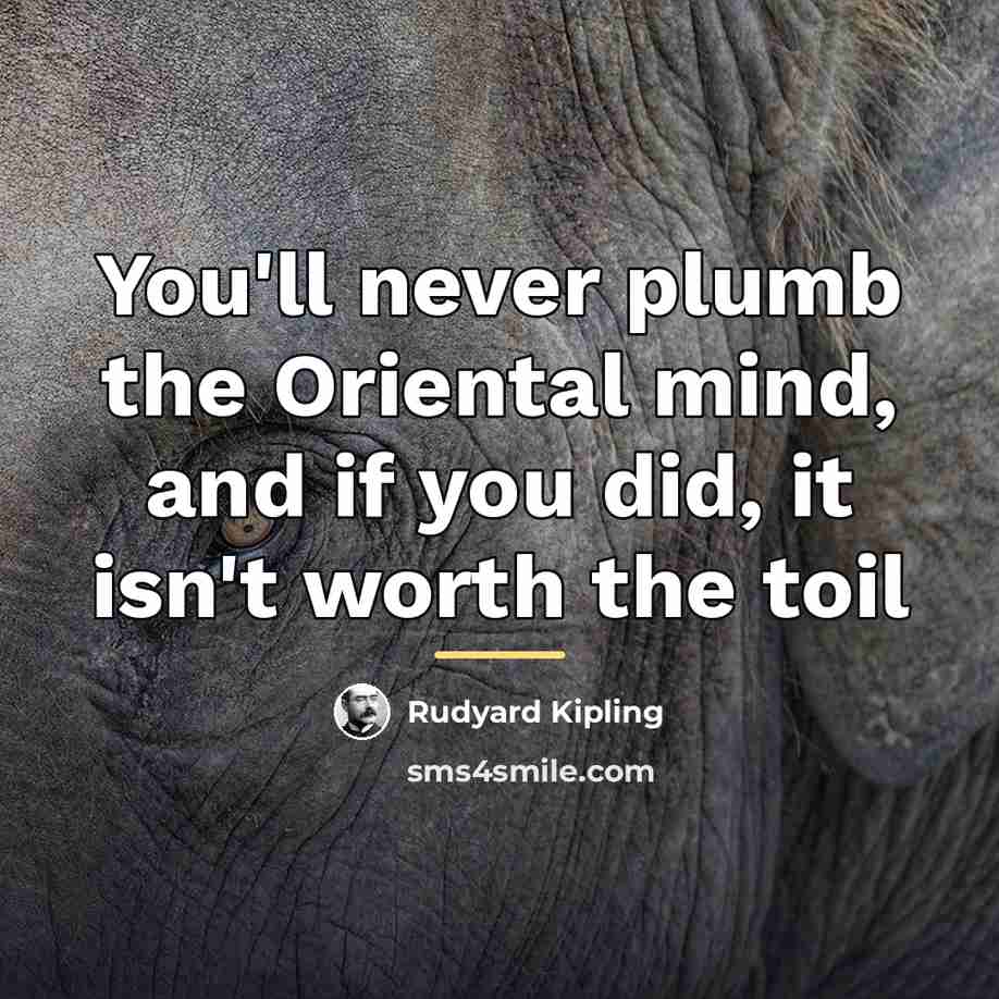 “You'll never plumb the Oriental mind, and if you did,…” quote by Rudyard Kipling