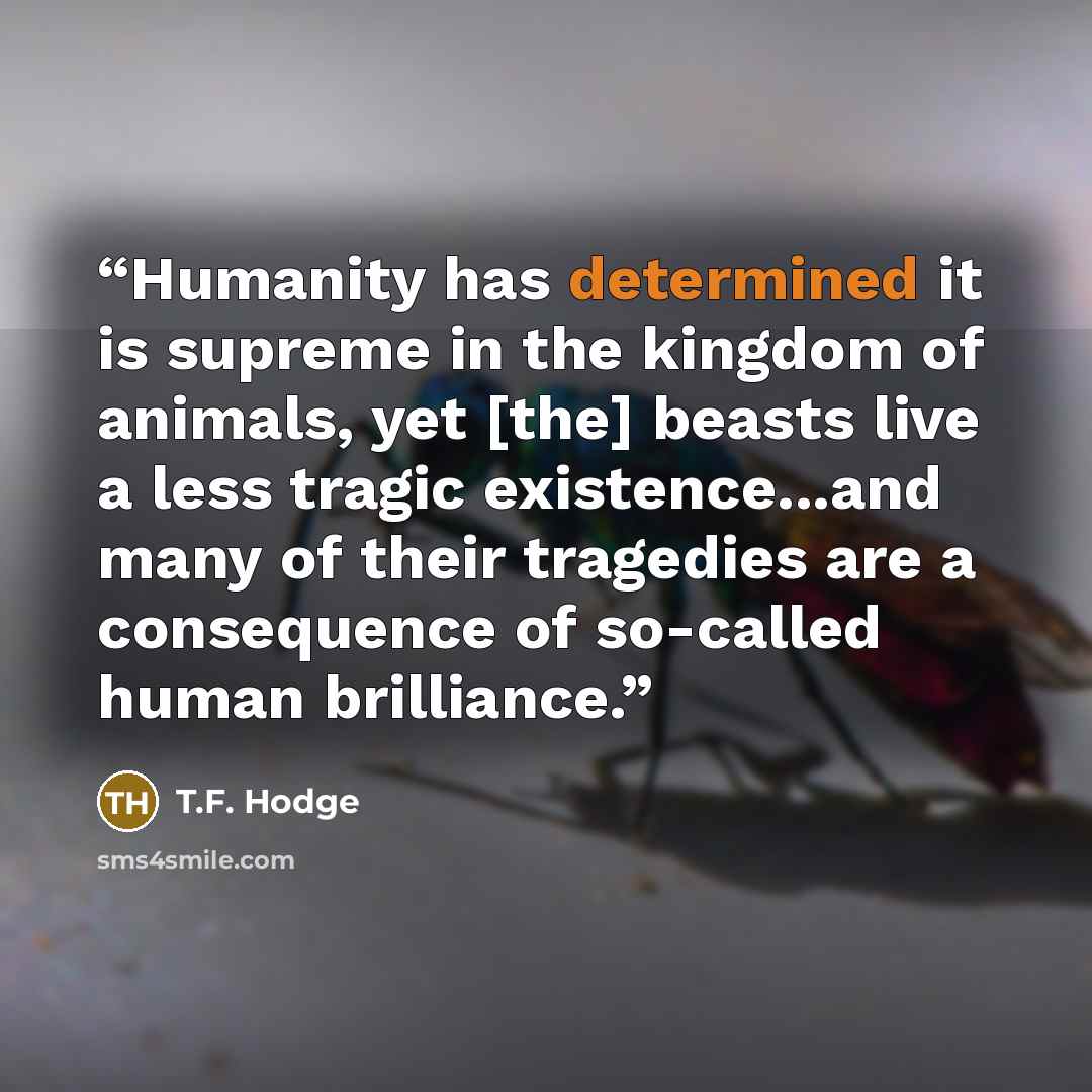 “Humanity has determined it is supreme in the kingdom of animals, yet [the] beasts live a less tragic existence...and many of their tragedies are a consequence of so-called human brilliance.” quote by T.F. Hodge