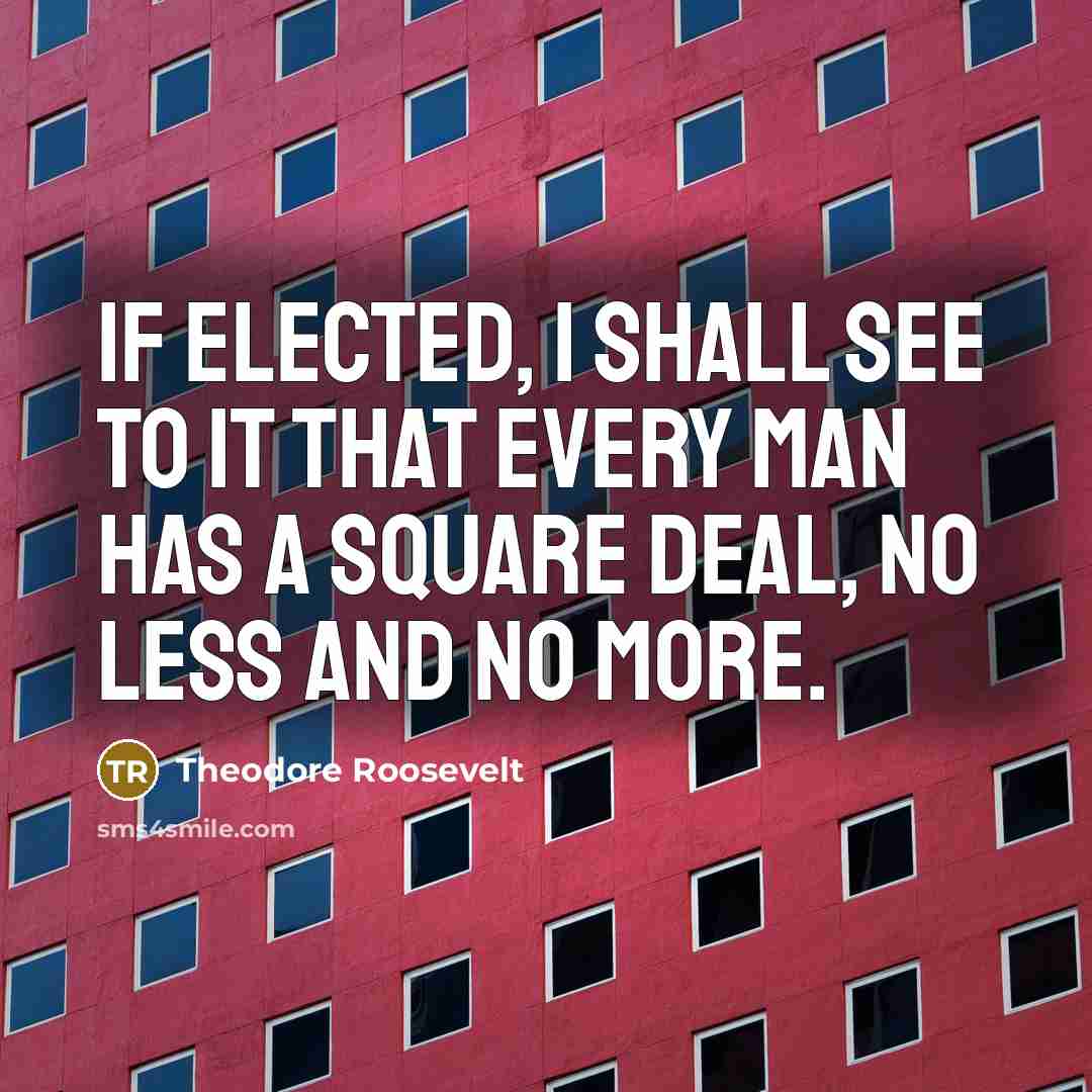 “If elected, I shall see to it that every man…” quote by Theodore Roosevelt
