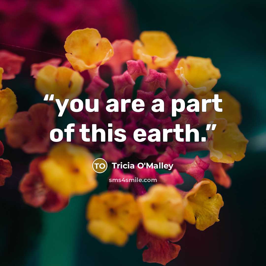 “you are a part of this earth.” quote by Tricia O'Malley