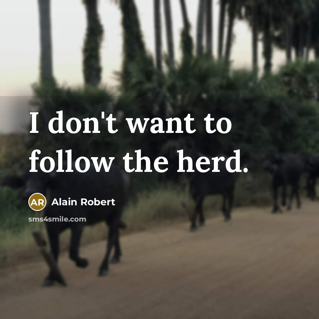 “I don't want to follow the herd.” quote by Alain Robert