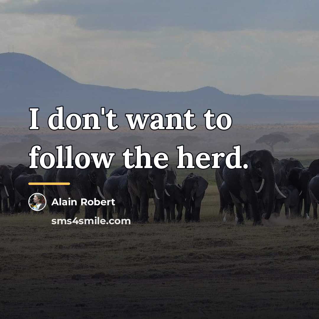 “I don't want to follow the herd.…” quote by Alain Robert