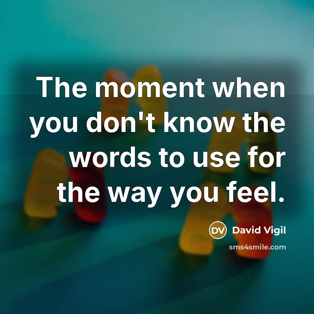 “The moment when you don't know the words to use…” quote by David Vigil
