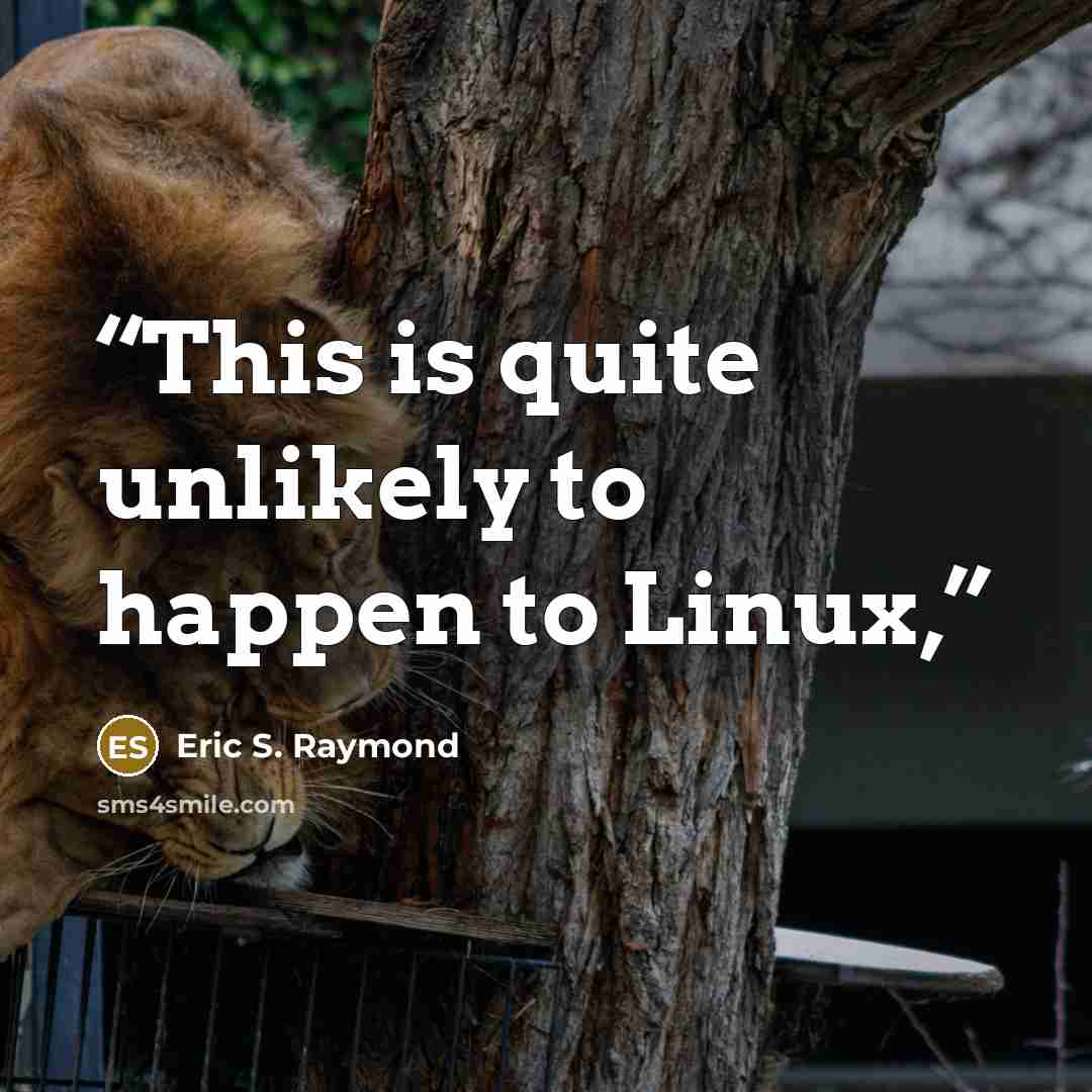 “This is quite unlikely to happen to Linux,” quote by Eric S. Raymond