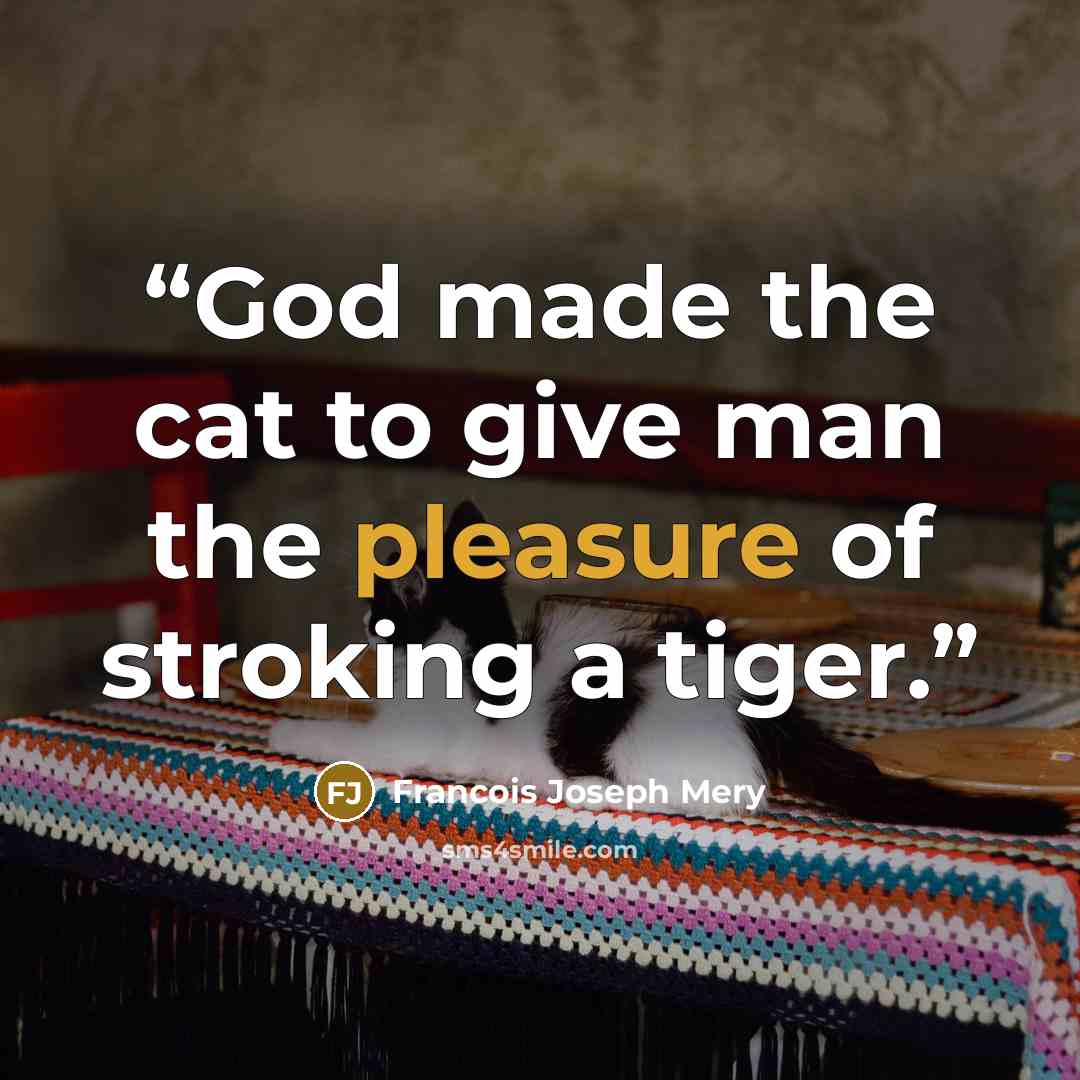 “God made the cat to give man the pleasure of stroking a tiger.” quote by Francois Joseph Mery