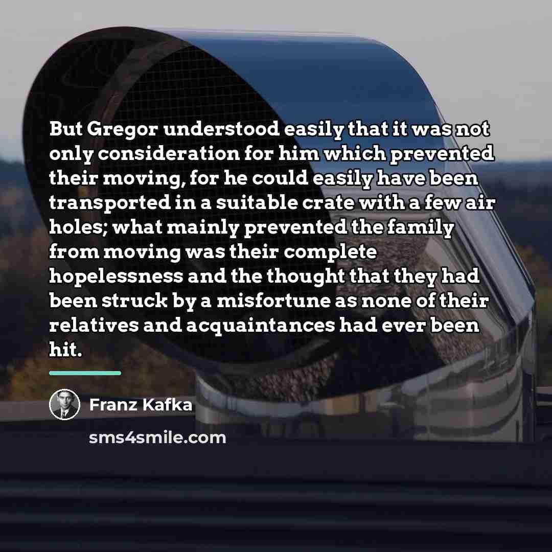 “But Gregor understood easily that it was not only consideration…” quote by Franz Kafka