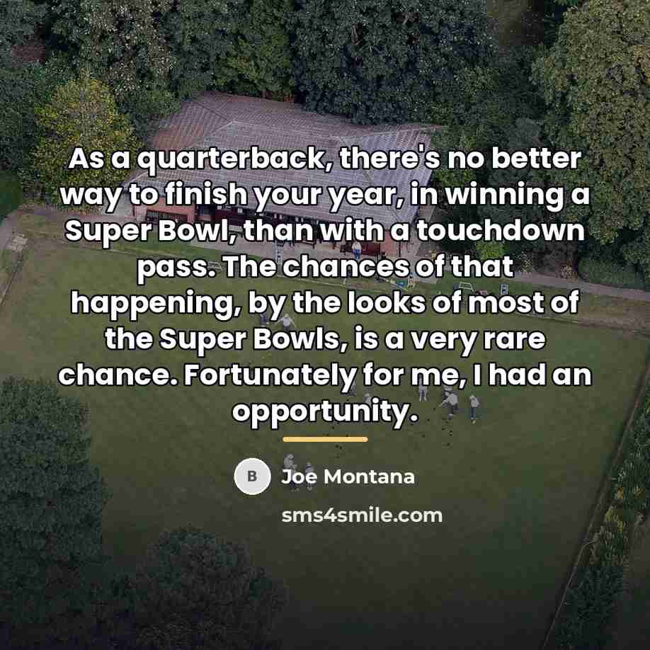 “As a quarterback, there's no better way to finish your…” quote by Joe Montana