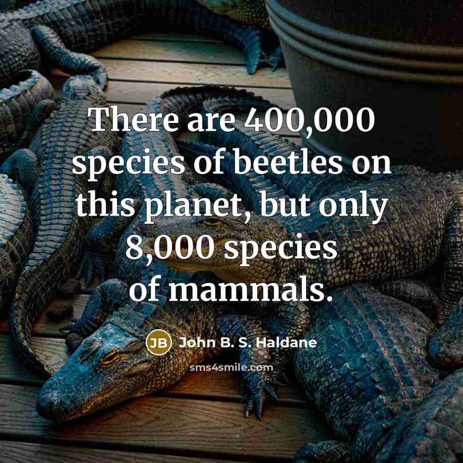 “There are 400,000 species of beetles on this planet, but…” quote by John B. S. Haldane