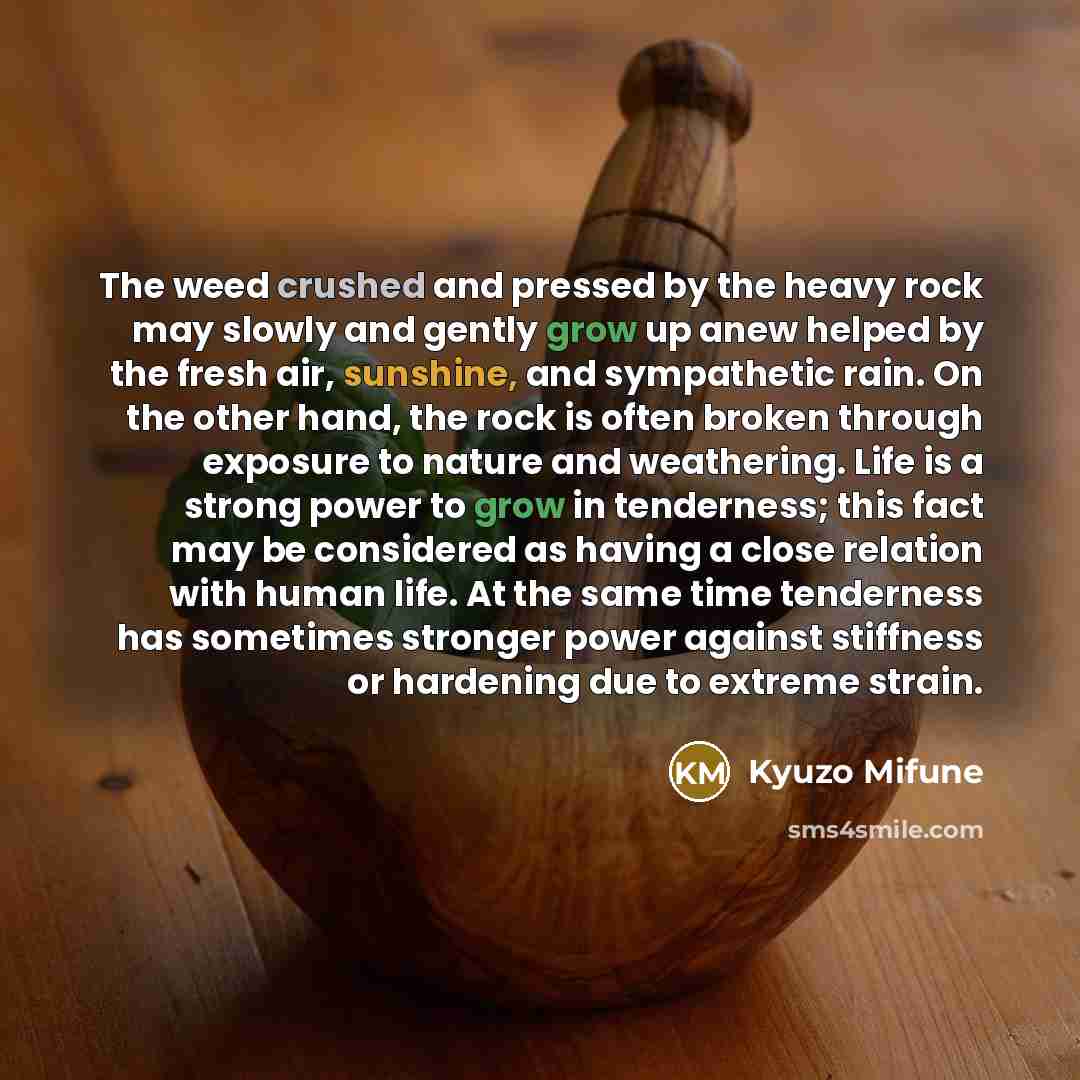 “The weed crushed and pressed by the heavy rock may…” quote by Kyuzo Mifune