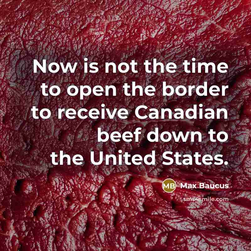 “Now is not the time to open the border to…” quote by Max Baucus