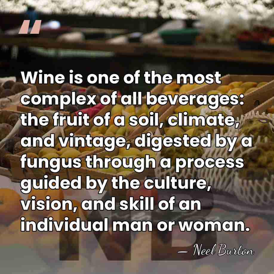 Wine is one of the most complex of all beverages: the fruit&hellip; - Neel Burton