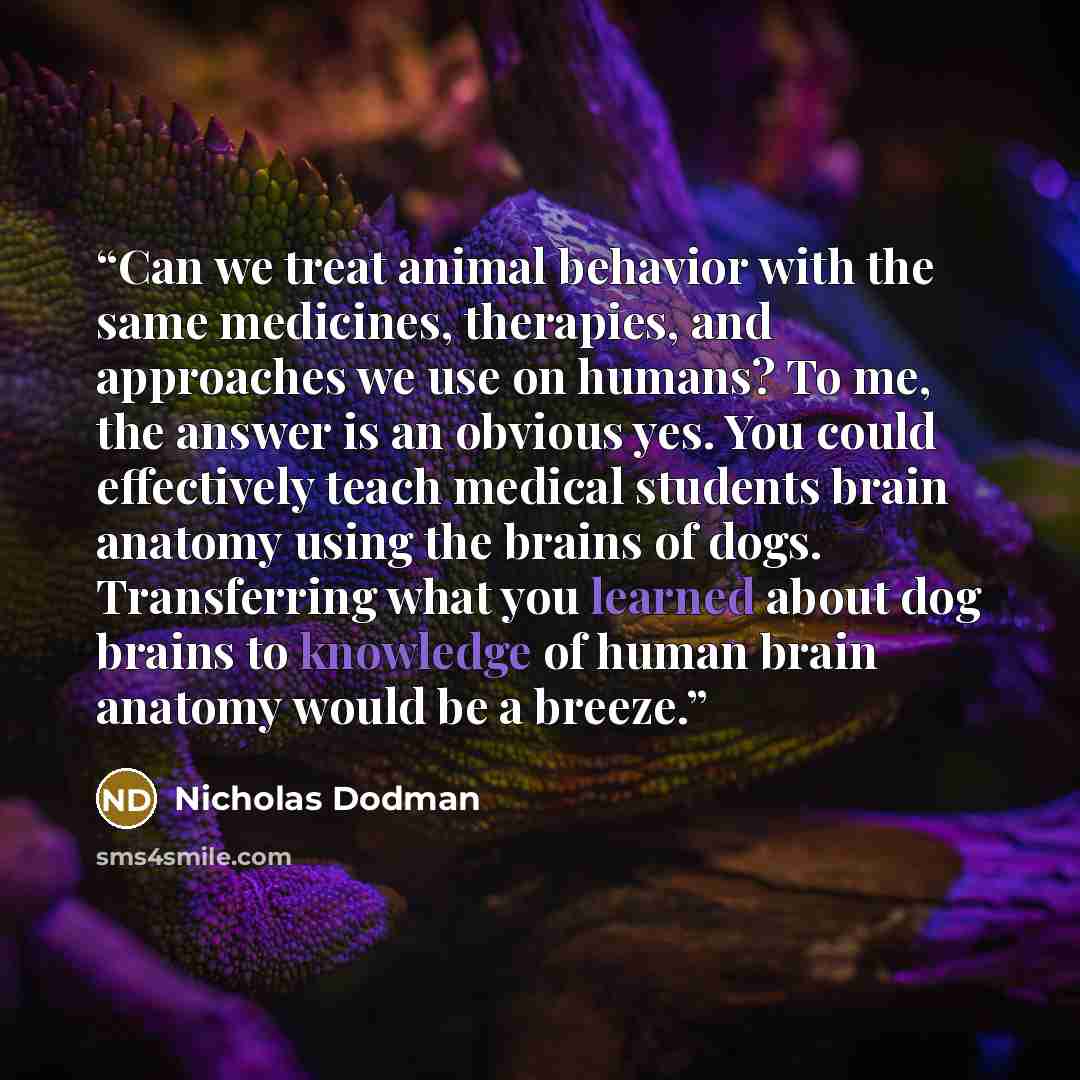 “Can we treat animal behavior with the same medicines, therapies, and approaches we use on humans? To me, the answer is an obvious yes. You could effectively teach medical students brain anatomy using the brains of dogs. Transferring what you learned about dog brains to knowledge of human brain…” quote by Nicholas Dodman