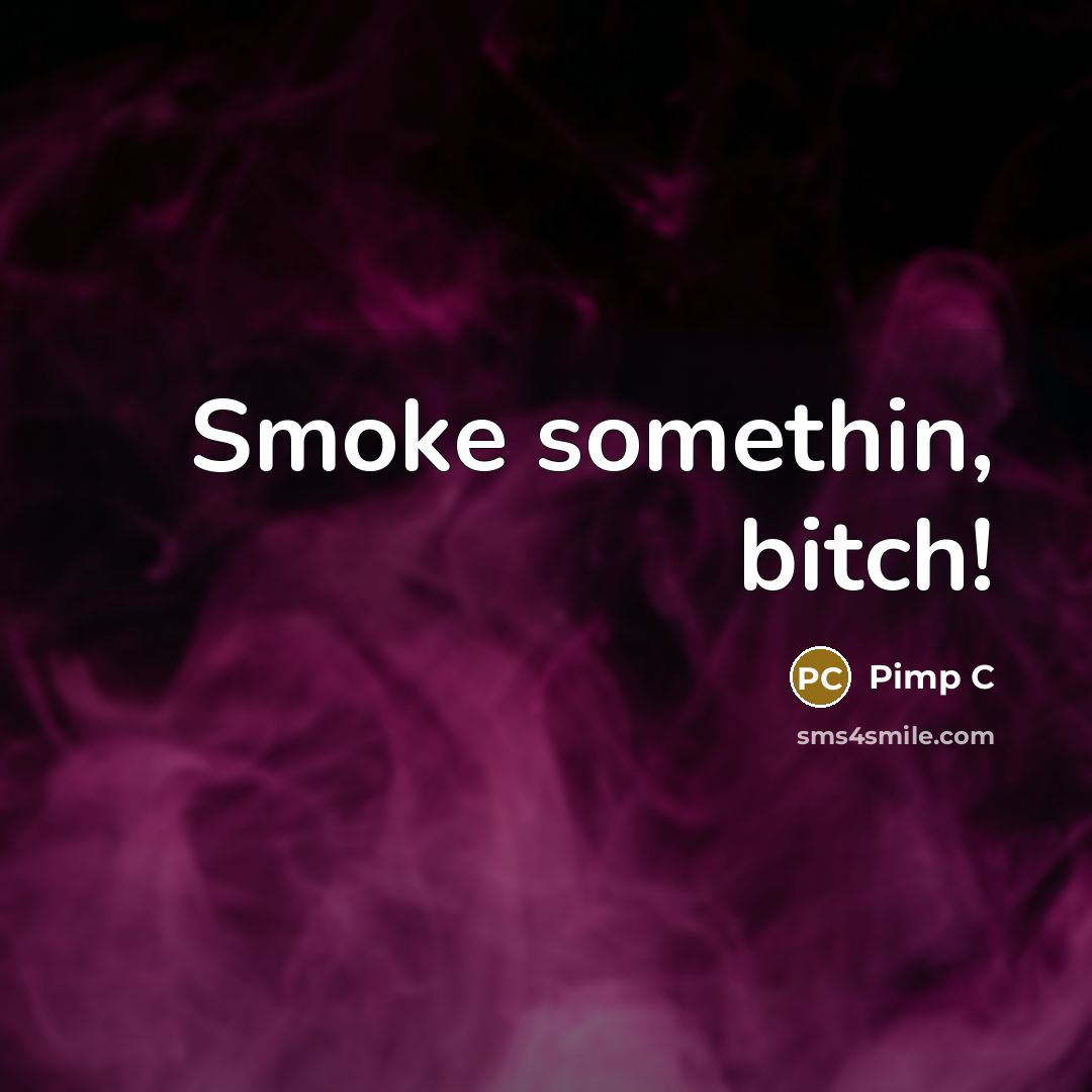 “Smoke somethin, bitch!…” quote by Pimp C