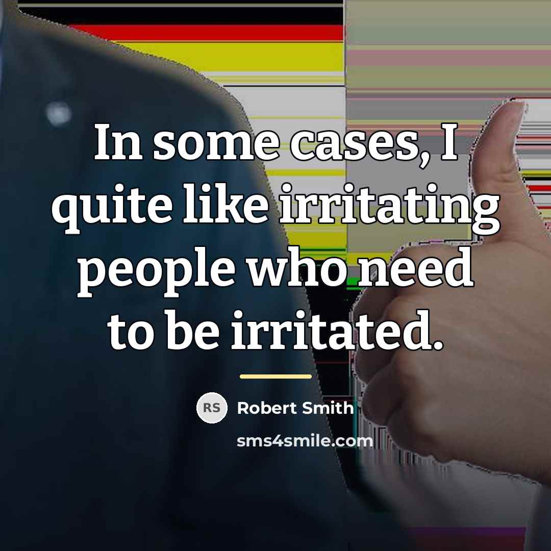 “In some cases, I quite like irritating people who need…” quote by Robert Smith