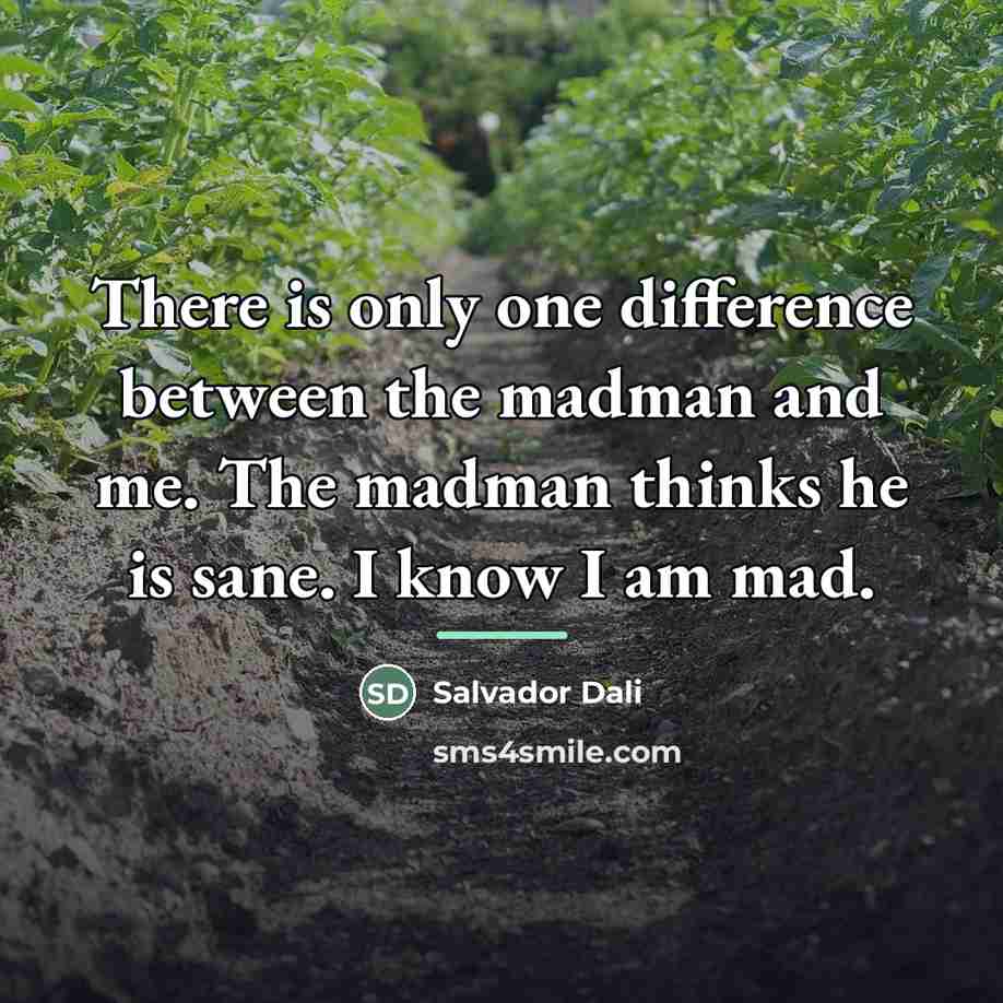 “There is only one difference between the madman and me.…” quote by Salvador Dali