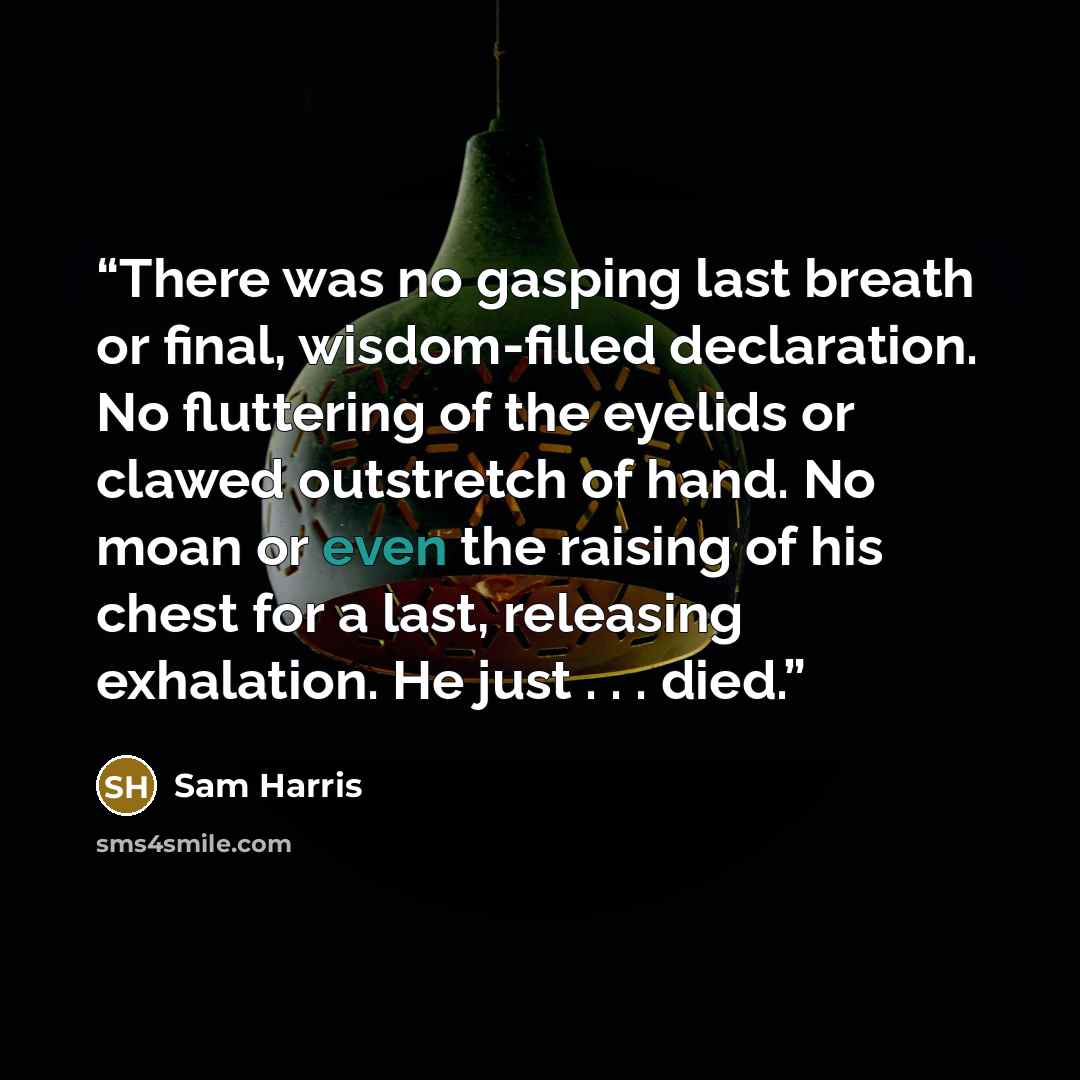 “There was no gasping last breath or final, wisdom-filled declaration. No fluttering of the eyelids or clawed outstretch of hand. No moan or even the raising of his chest for a last, releasing exhalation. He just . . . died.” quote by Sam Harris