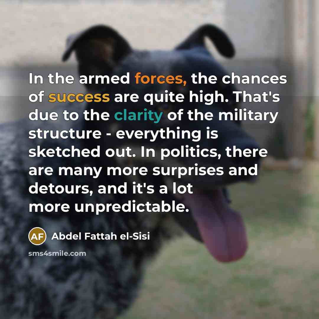 “In the armed forces, the chances of success are quite…” quote by Abdel Fattah el-Sisi