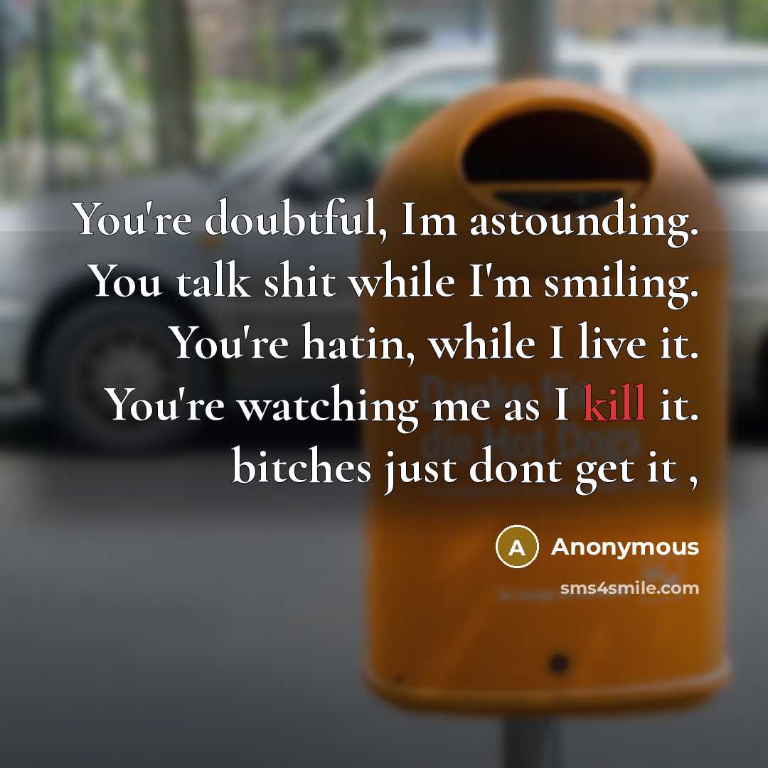 “You're doubtful, Im astounding. You talk shit while I'm smiling. You're hatin, while I live it. You're watching me as I kill it. bitches just dont get it ,” quote by Anonymous