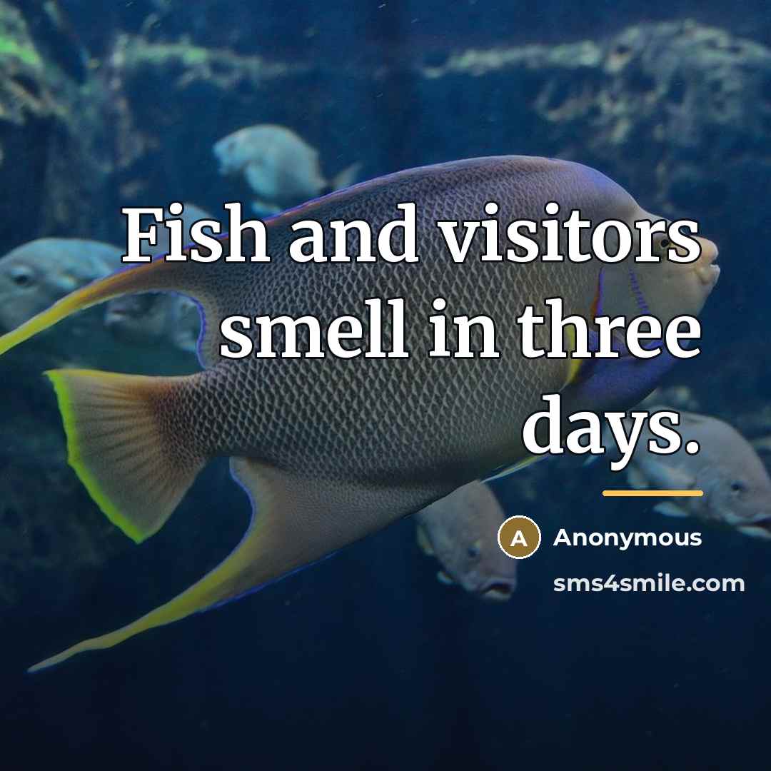 “Fish and visitors smell in three days.…” quote by Anonymous