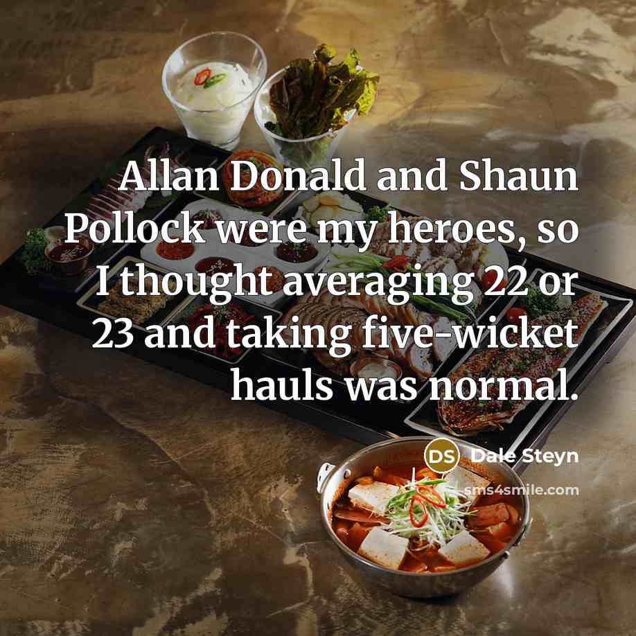 “Allan Donald and Shaun Pollock were my heroes, so I…” quote by Dale Steyn