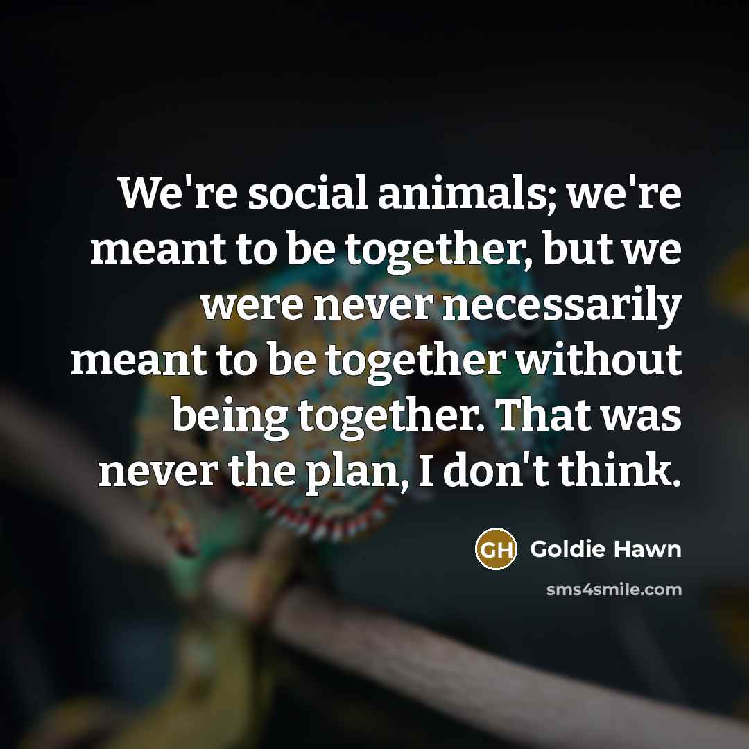 “We're social animals; we're meant to be together, but we…” quote by Goldie Hawn