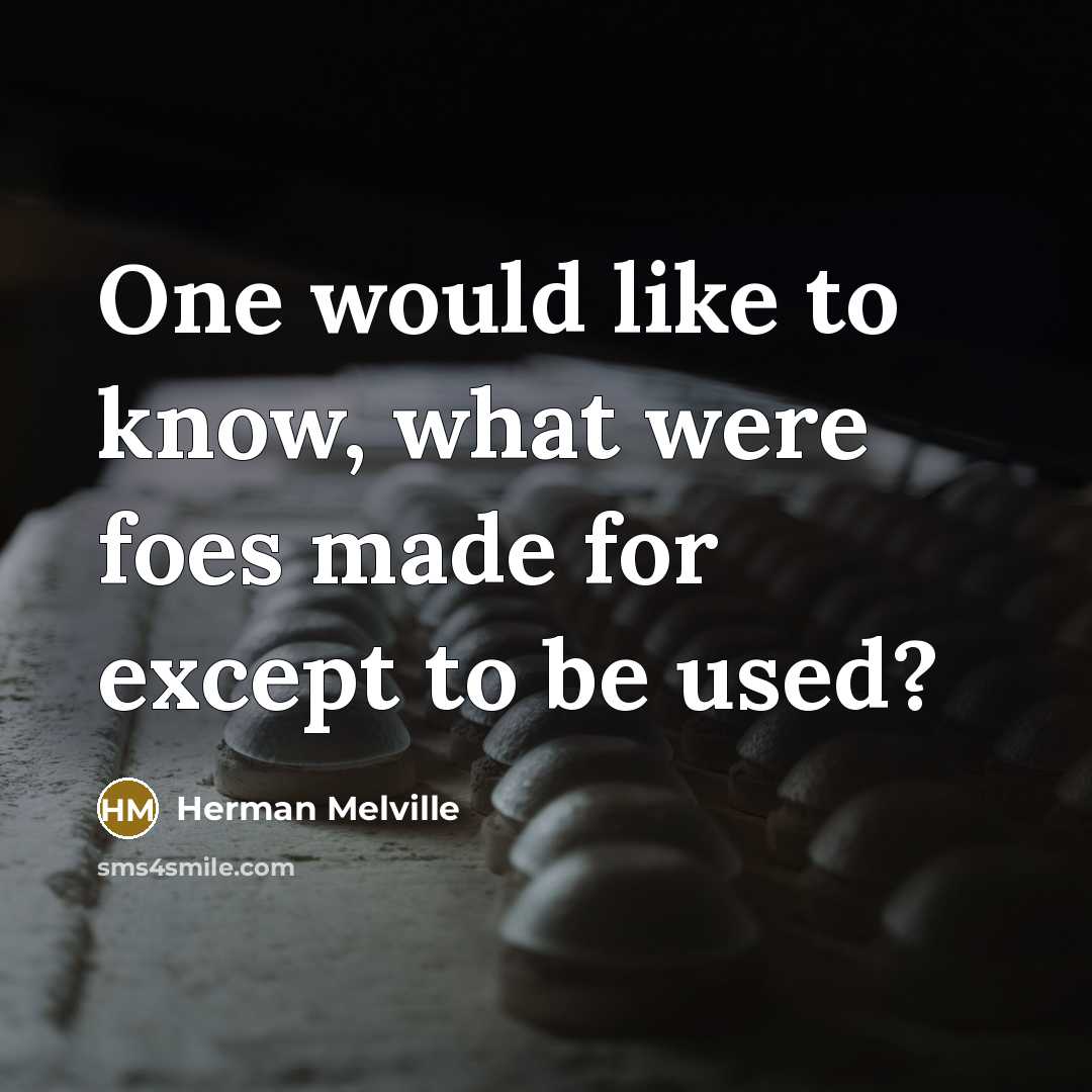 “One would like to know, what were foes made for…” quote by Herman Melville