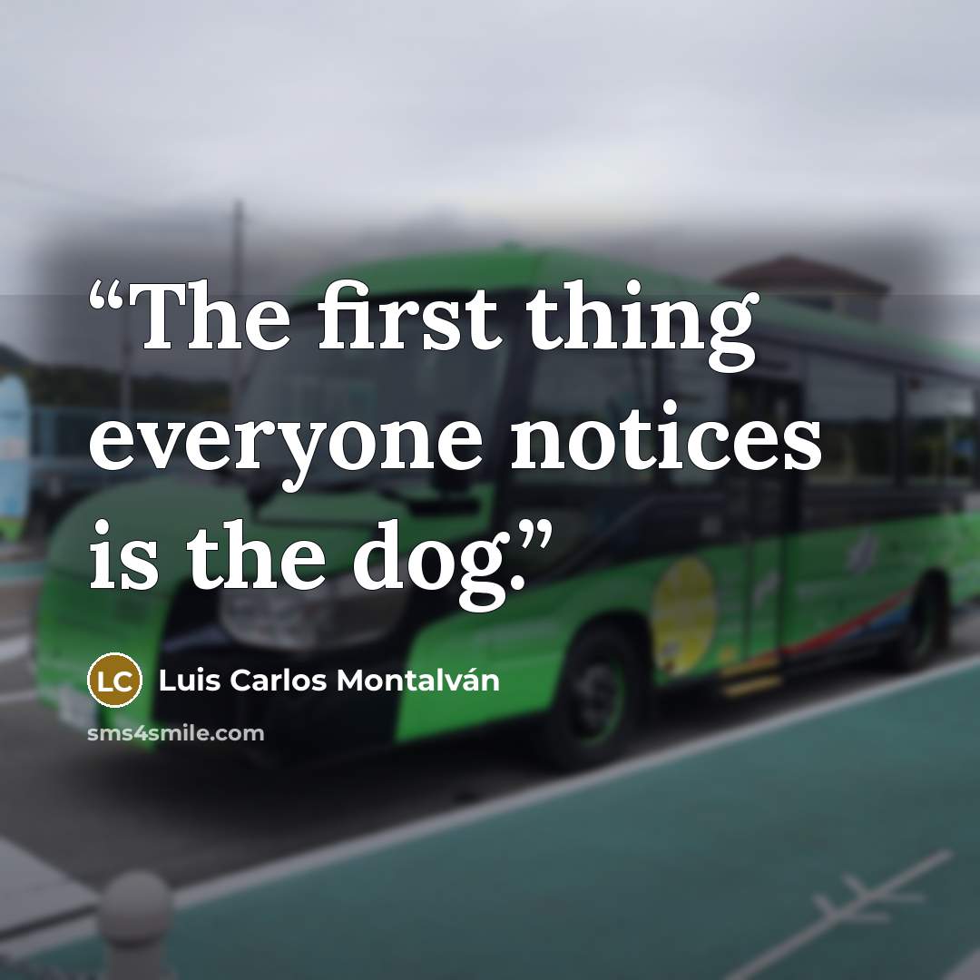 “The first thing everyone notices is the dog.” quote by Luis Carlos Montalván