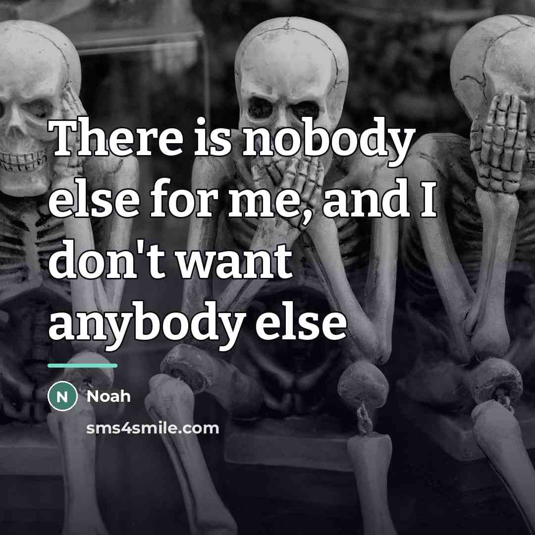“There is nobody else for me, and I don't want…” quote by Noah