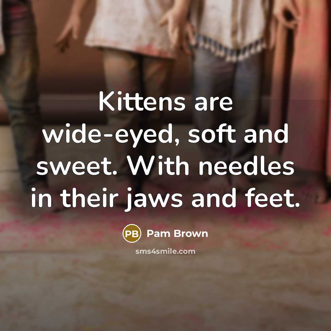 “Kittens are wide-eyed, soft and sweet. With needles in their…” quote by Pam Brown
