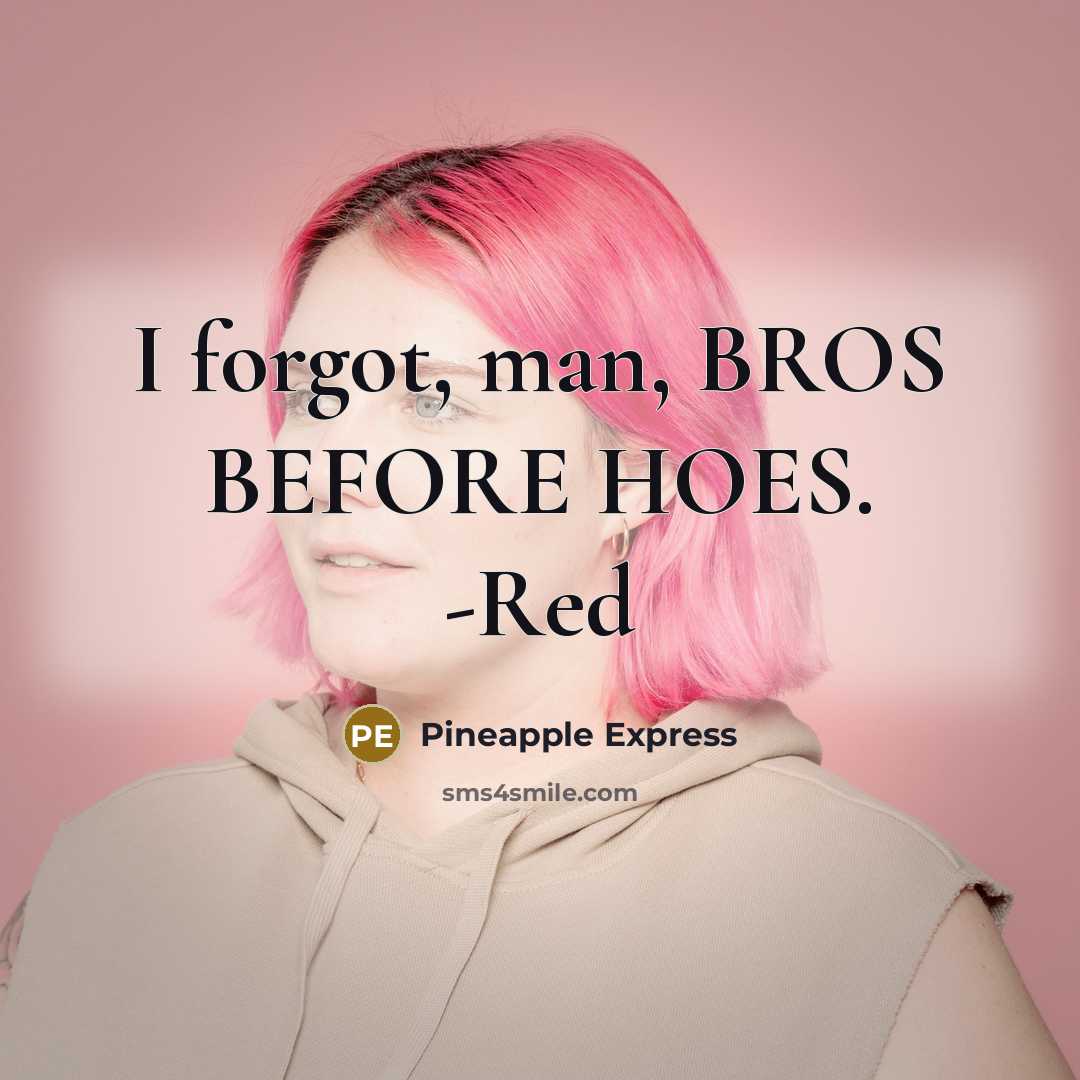“I forgot, man, BROS BEFORE HOES. -Red” quote by Pineapple Express