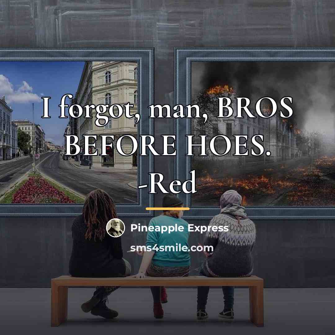 “I forgot, man, BROS BEFORE HOES. -Red…” quote by Pineapple Express