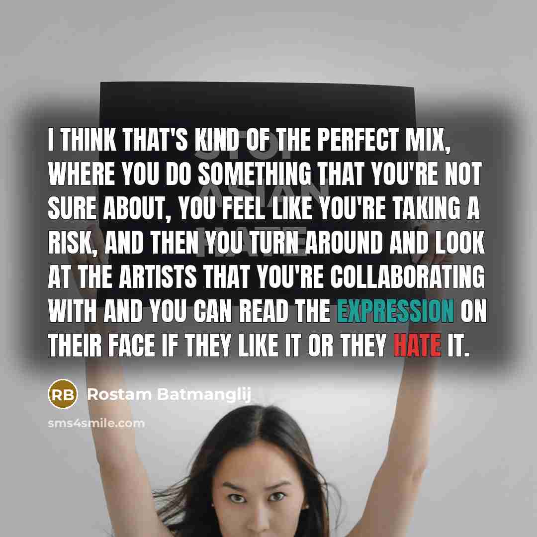 “I think that's kind of the perfect mix, where you…” quote by Rostam Batmanglij