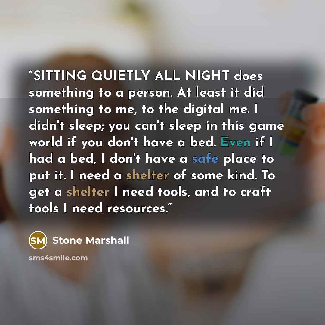“SITTING QUIETLY ALL NIGHT does something to a person. At least it did something to me, to the digital me. I didn't sleep; you can't sleep in this game world if you don't have a bed. Even if I had a bed, I don't have a safe place to put it. I need a shelter of some kind. To get a shelter I need…” quote by Stone Marshall