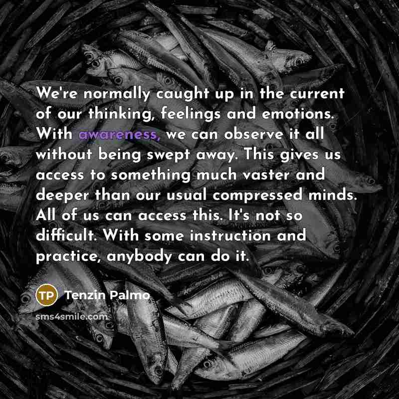 “We're normally caught up in the current of our thinking,…” quote by Tenzin Palmo