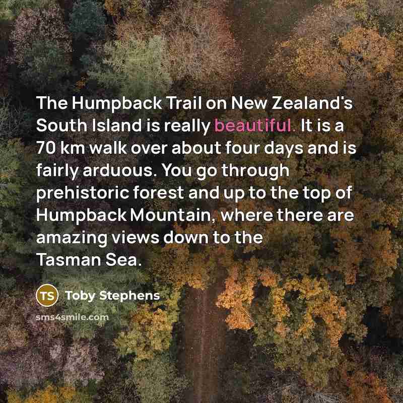“The Humpback Trail on New Zealand's South Island is really…” quote by Toby Stephens