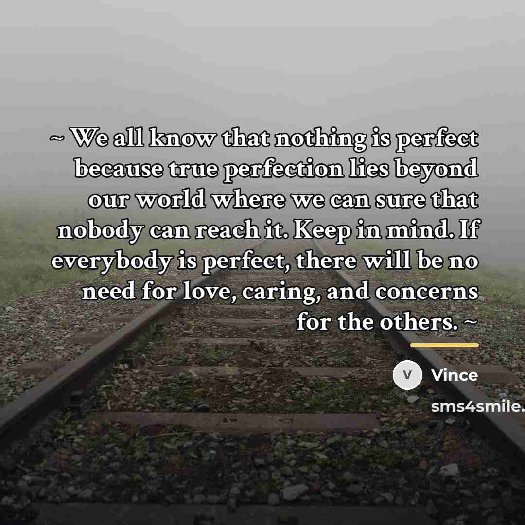 “~ We all know that nothing is perfect because true…” quote by Vince