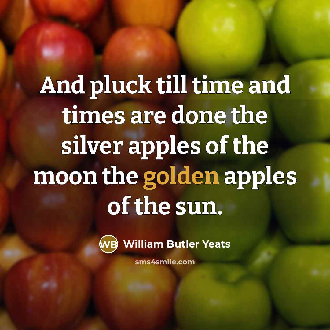 “And pluck till time and times are done the silver…” quote by William Butler Yeats