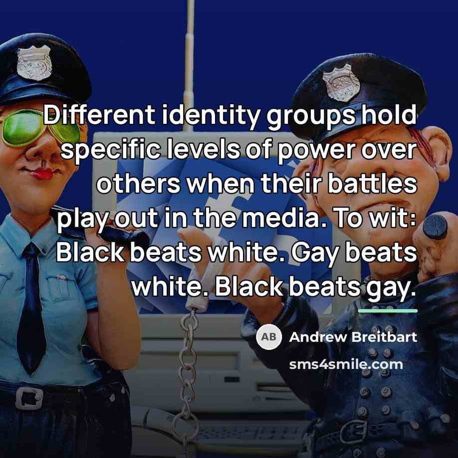 “Different identity groups hold specific levels of power over others…” quote by Andrew Breitbart