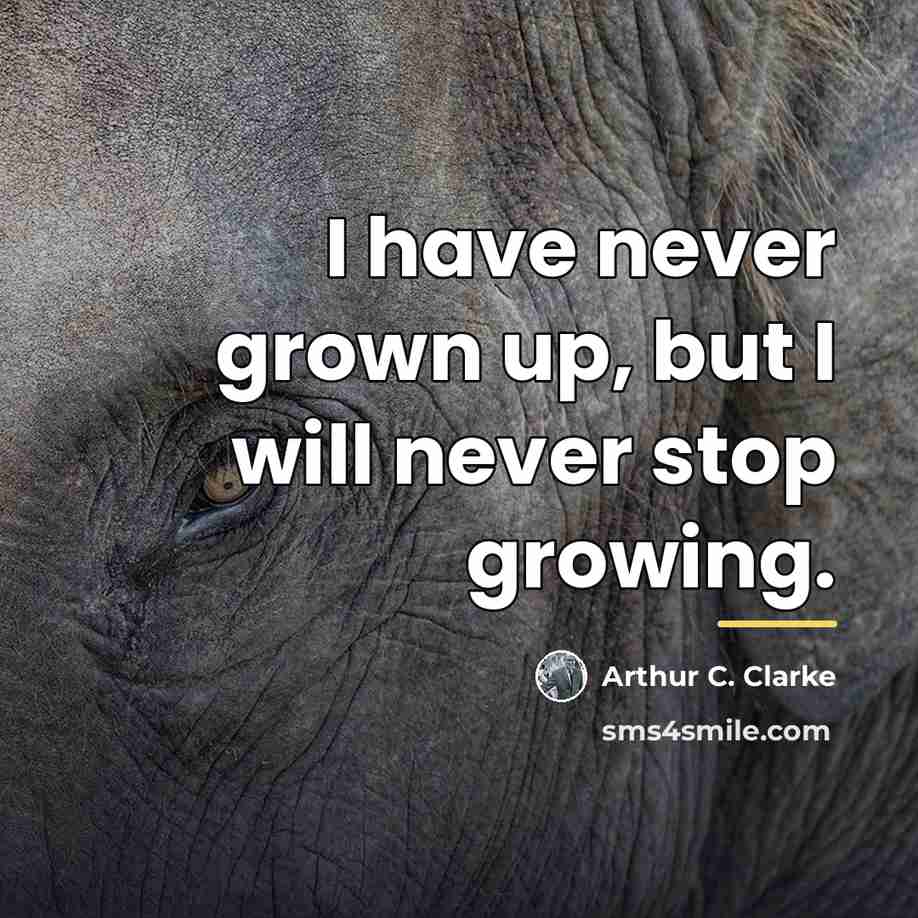 “I have never grown up, but I will never stop…” quote by Arthur C. Clarke