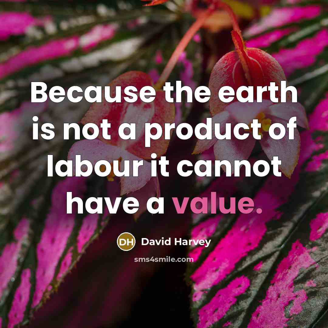 “Because the earth is not a product of labour it…” quote by David Harvey