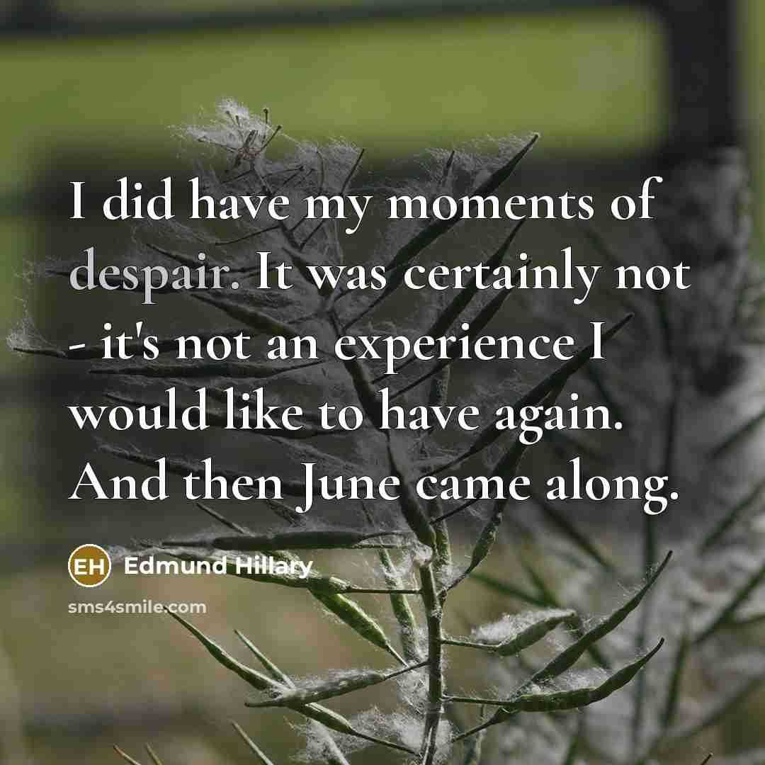 “I did have my moments of despair. It was certainly…” quote by Edmund Hillary