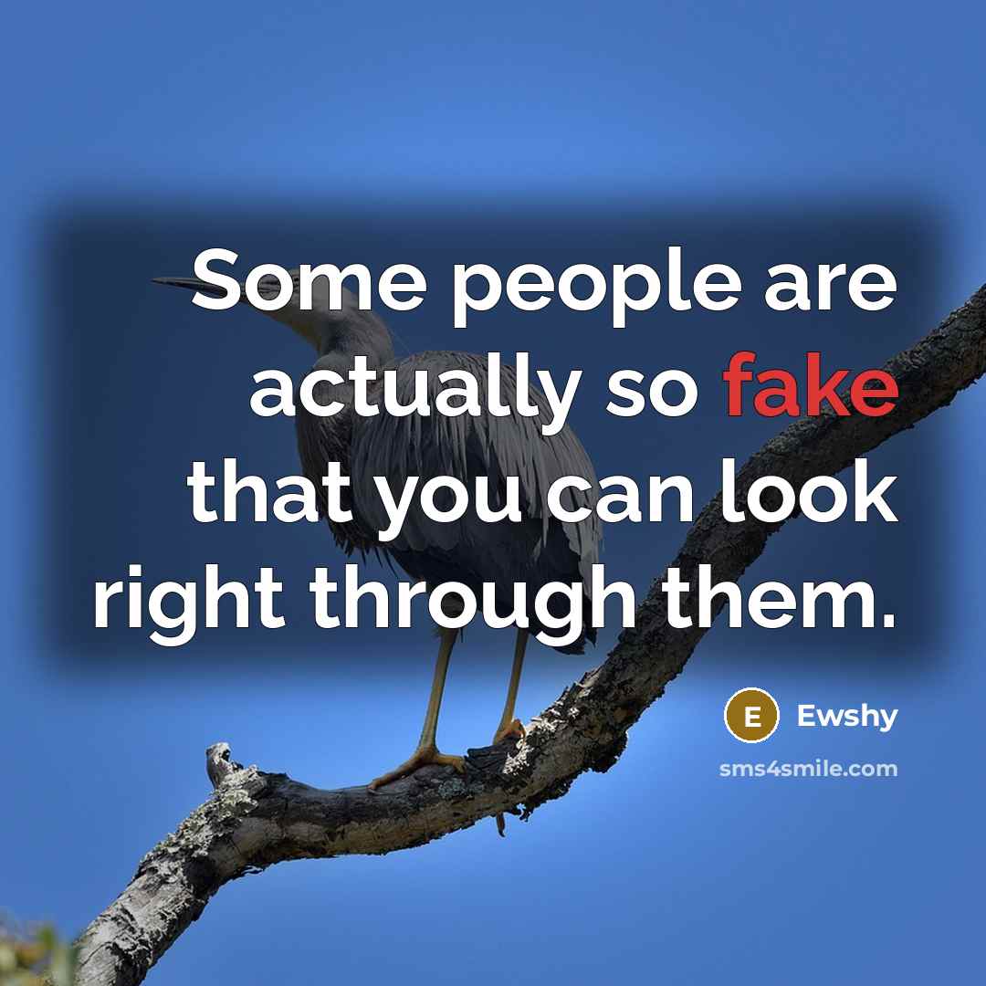 “Some people are actually so fake that you can look right through them.” quote by Ewshy