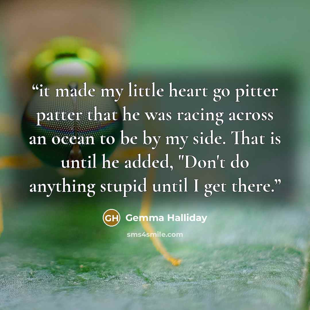 “it made my little heart go pitter patter that he was racing across an ocean to be by my side. That is until he added, "Don't do anything stupid until I get there.” quote by Gemma Halliday