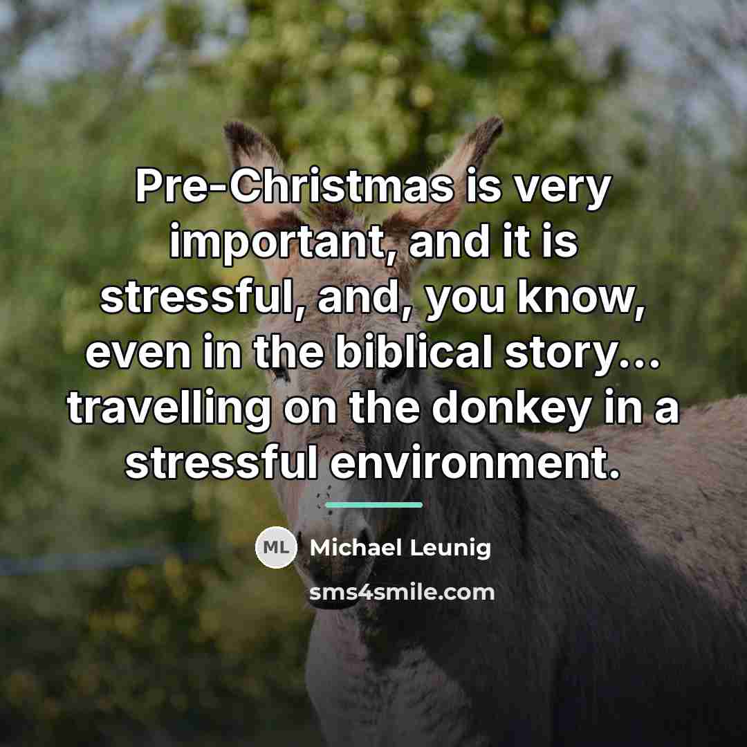 “Pre-Christmas is very important, and it is stressful, and, you…” quote by Michael Leunig