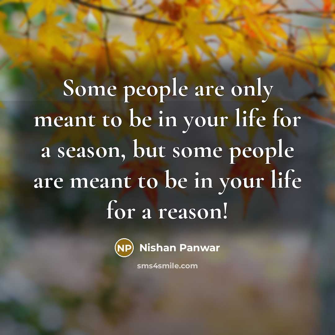 “Some people are only meant to be in your life…” quote by Nishan Panwar