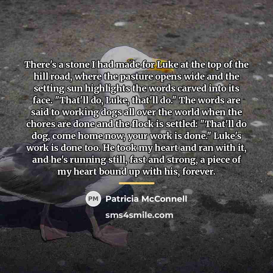 “There's a stone I had made for Luke at the…” quote by Patricia McConnell