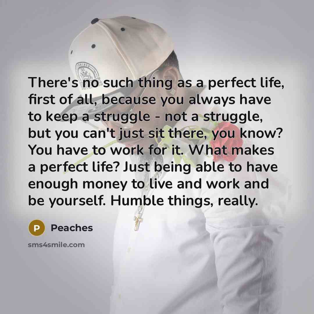 “There's no such thing as a perfect life, first of…” quote by Peaches