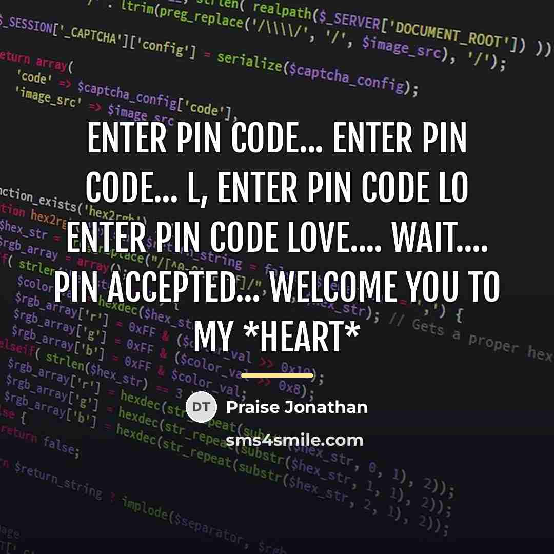 “Enter PIN code... Enter PIN code... L, Enter PIN code…” quote by Praise Jonathan